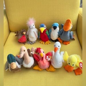 New with tag 10 TY beanie babies of a “bird” family